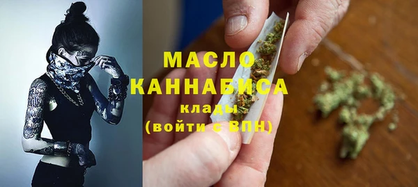гашик Верея