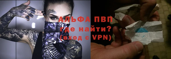гашик Верея