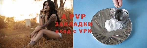 индика Верхний Тагил