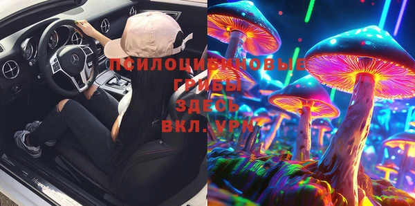 гидропоника Бородино
