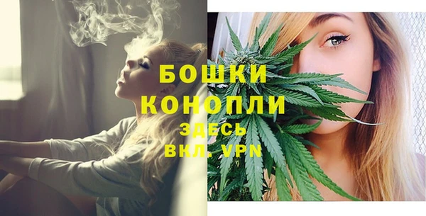 индика Верхний Тагил
