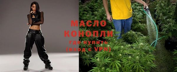 гидропоника Бородино